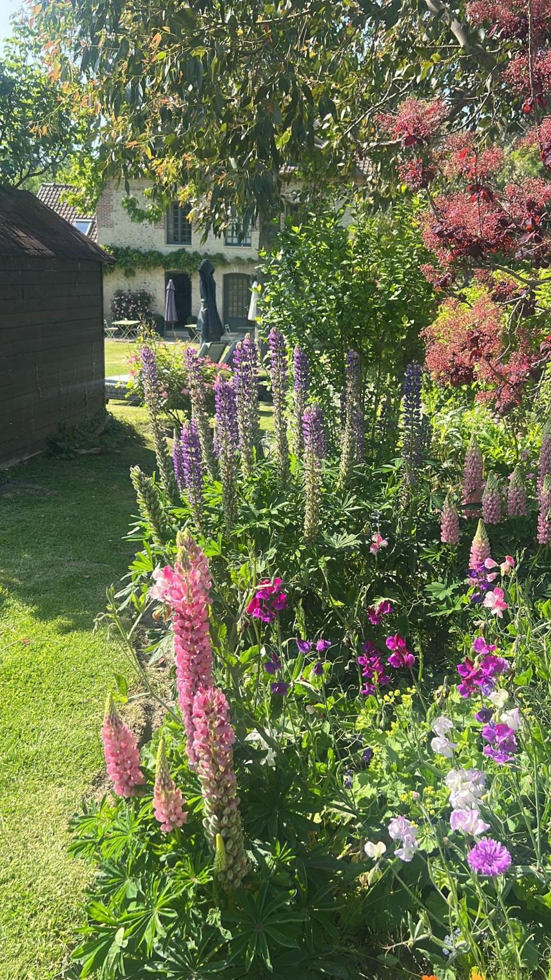 La Maison D'Aline - Honfleur - Maison D'Hote De Charme A La Normande Pennedepie Rom bilde